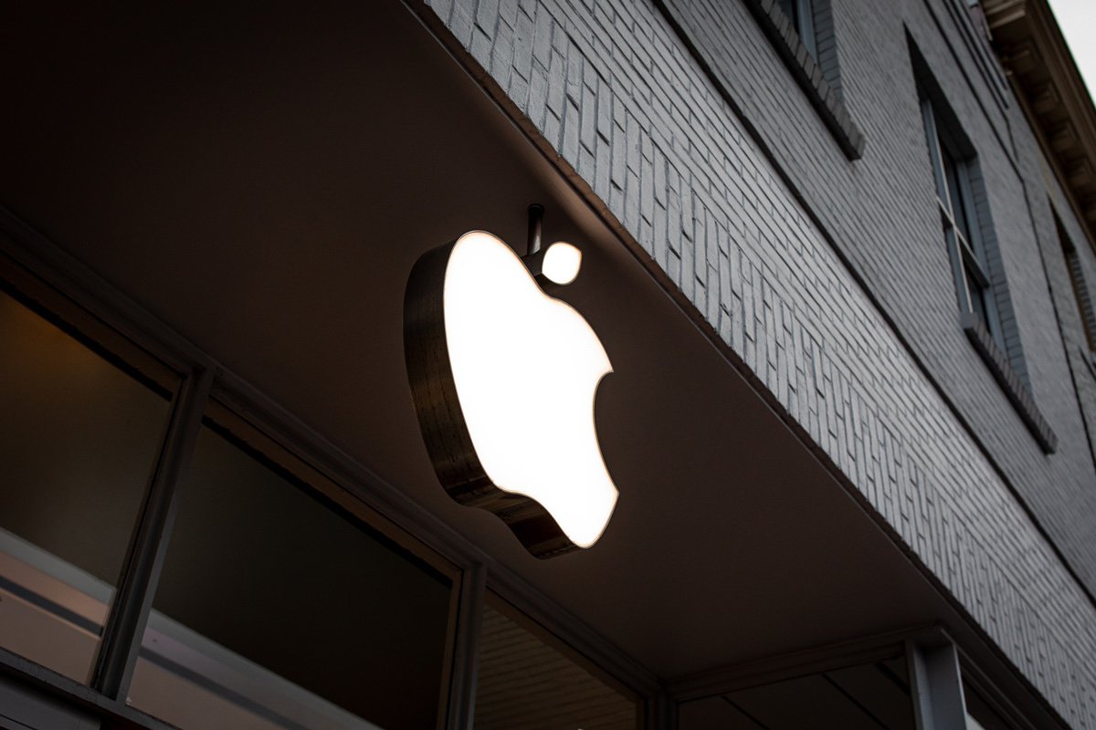    Фото: bluestork / Shutterstock.com