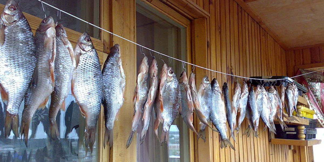 Лапоть. Загадочный воришка, что таскал сушеную рыбу с балкона четвертого этажа, несмотря на решетку