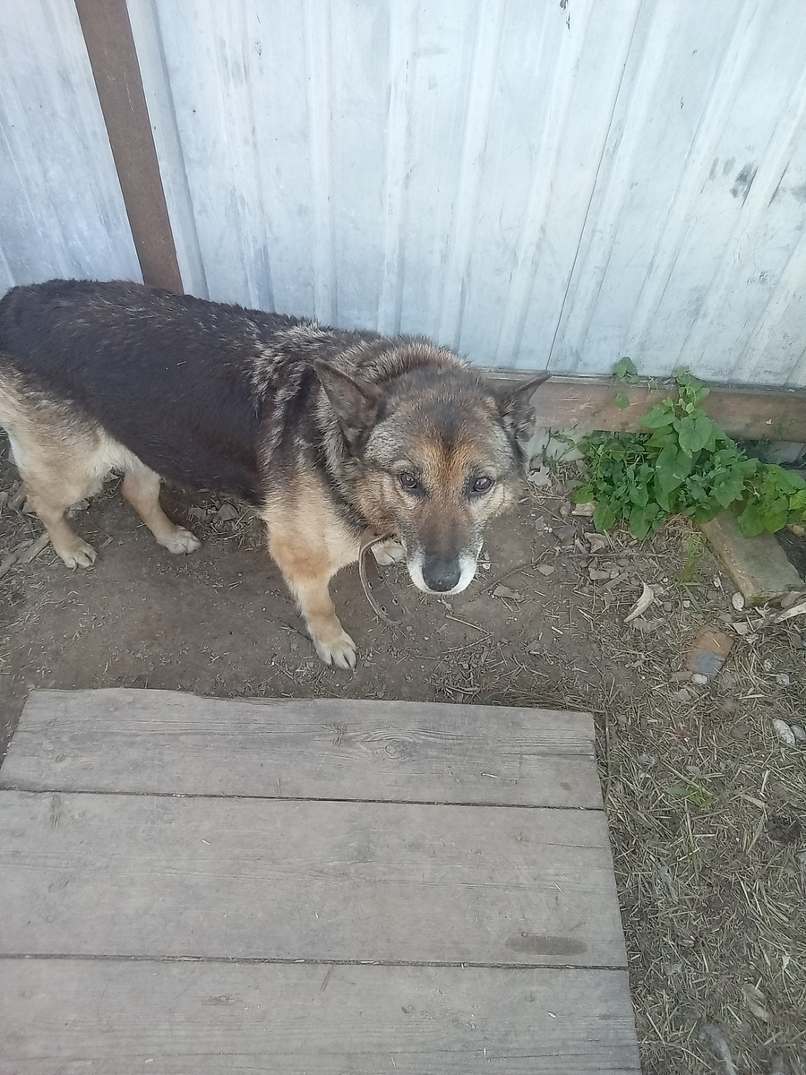 Фото автора. Рада. 