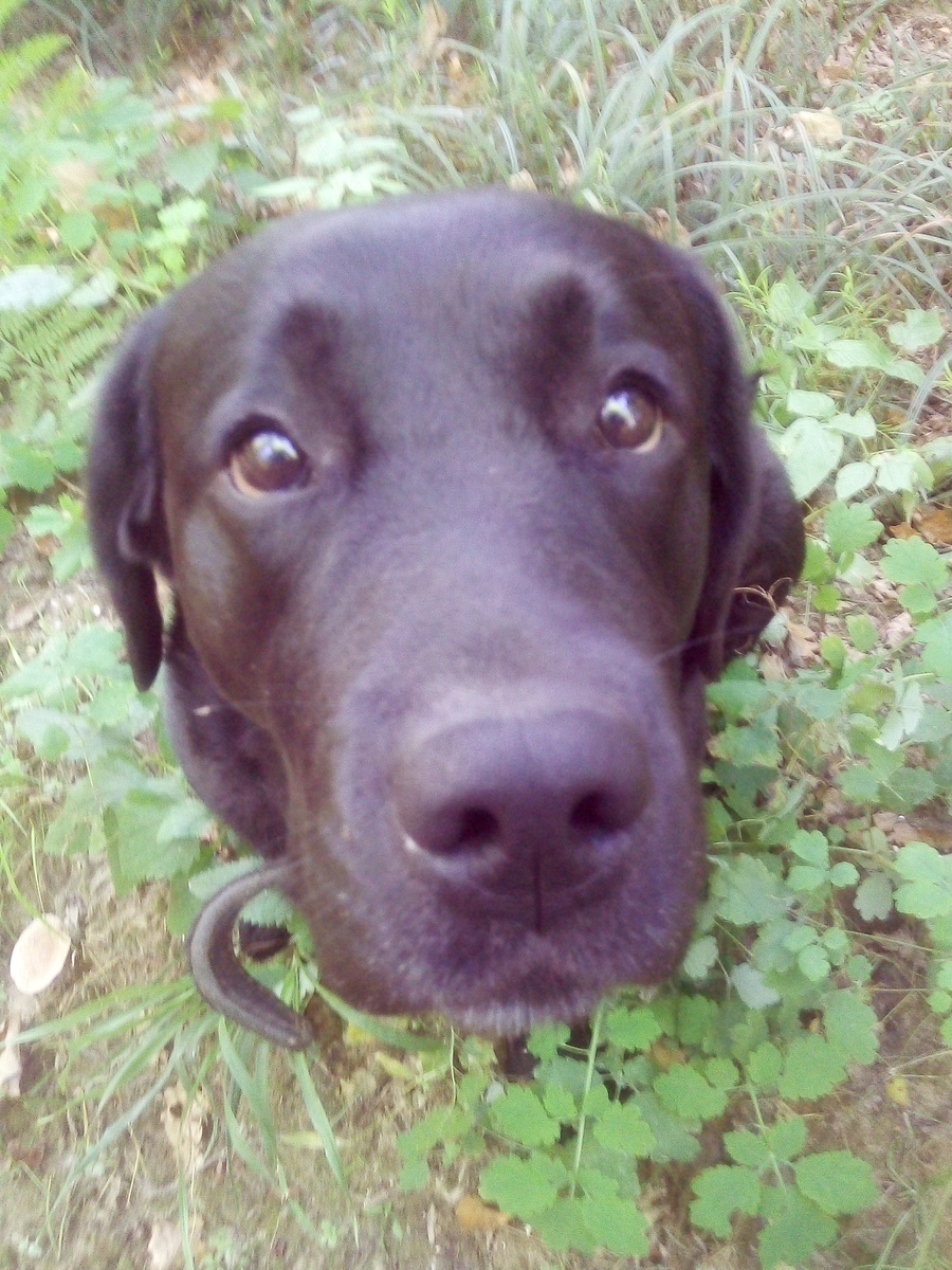 Фото автора .