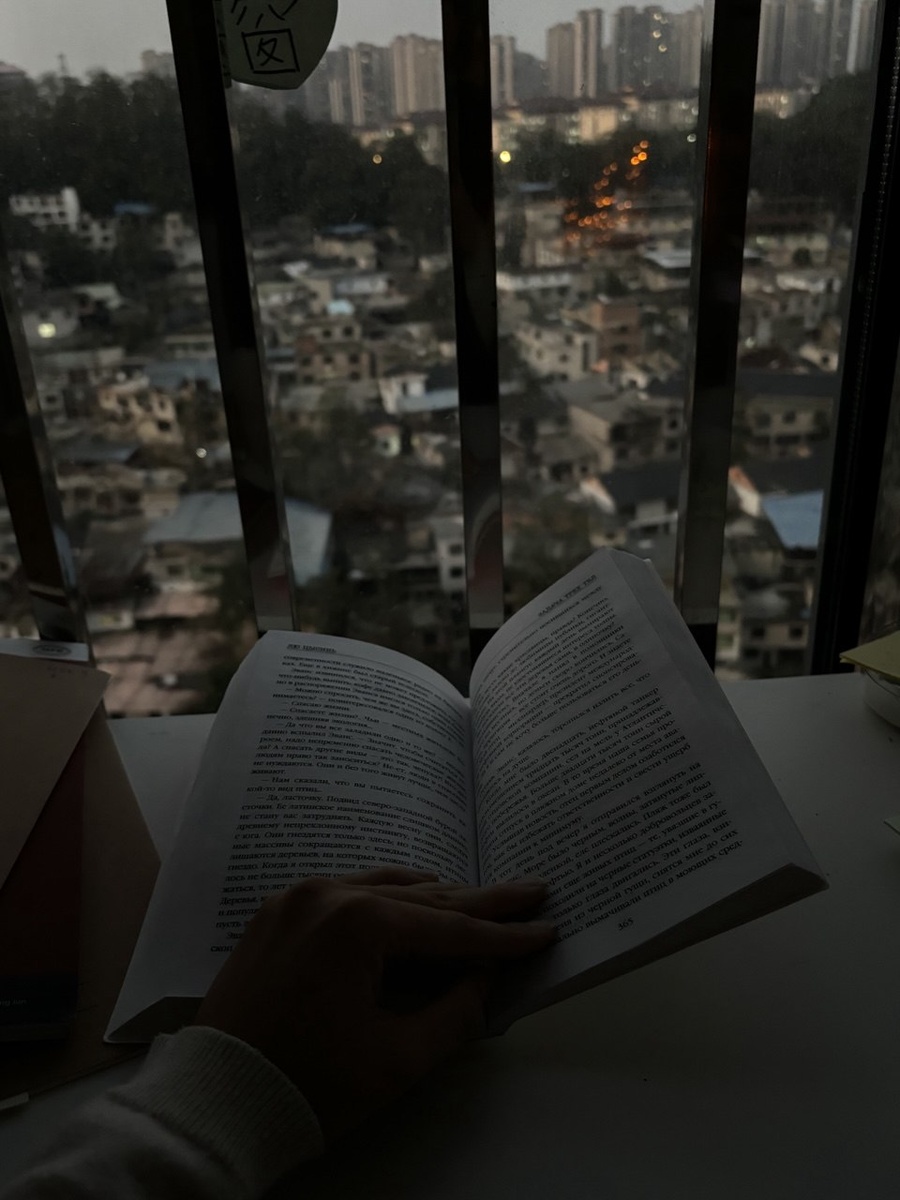 Вид из моего окна