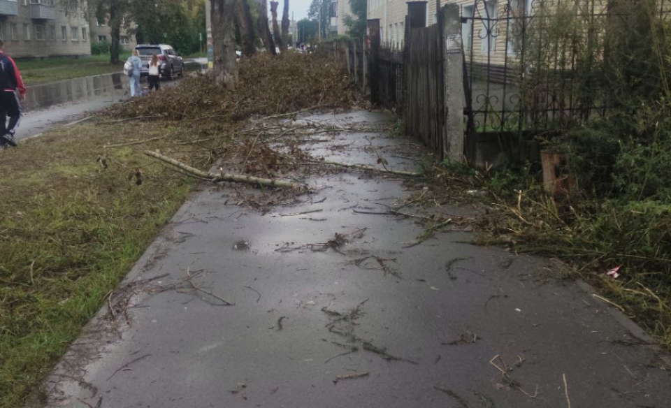    Спиленные ветки у школы №34. Источник: Канал "Администратор чата главы г. Бийска"