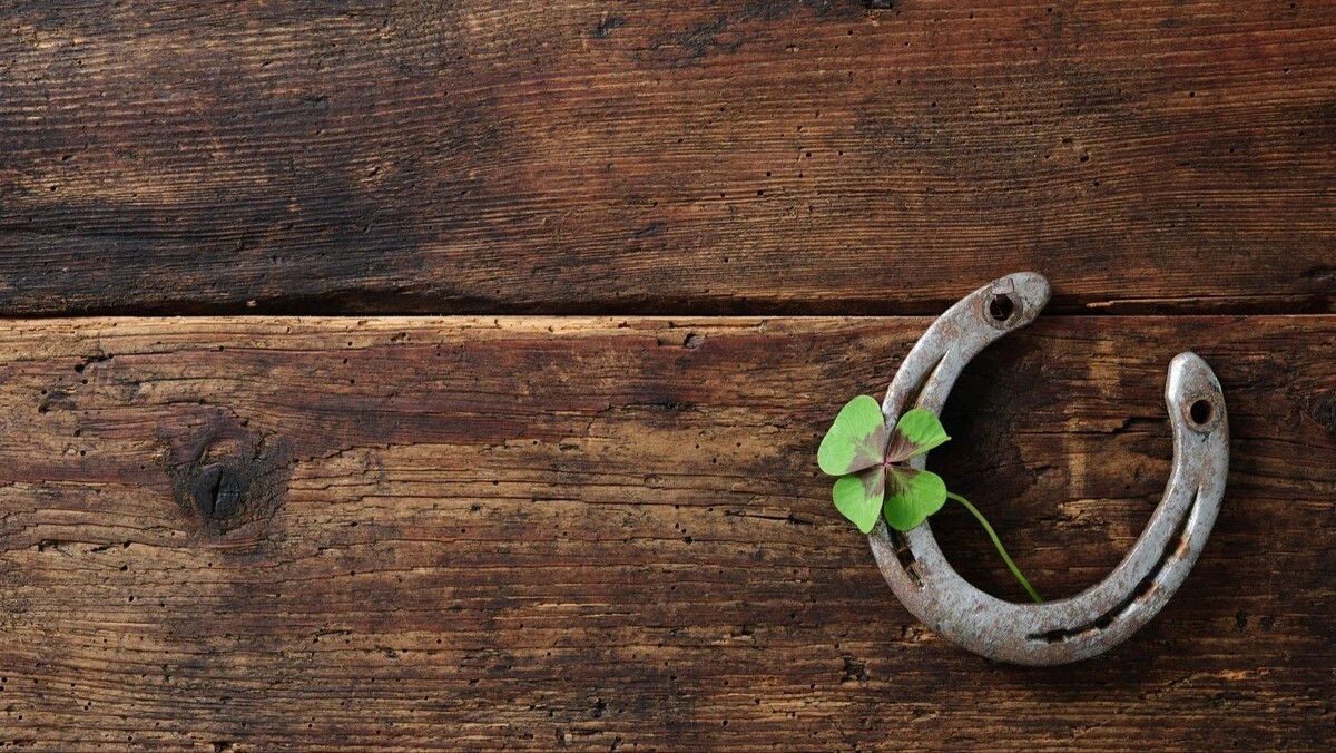    Фото: Alexander Raths / shutterstock.com / Fotodom