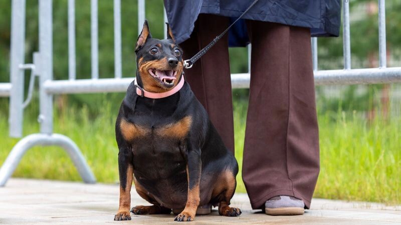    Фото: Федор Воронов/«Ямал-Медиа»