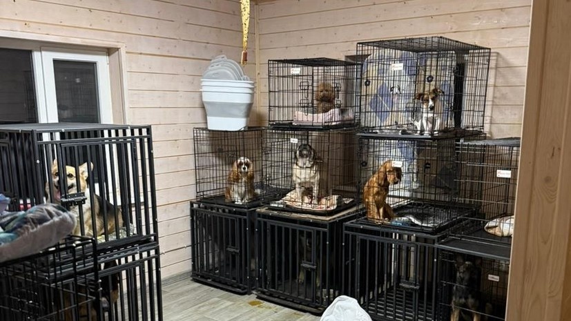    Прокуратура Московской области