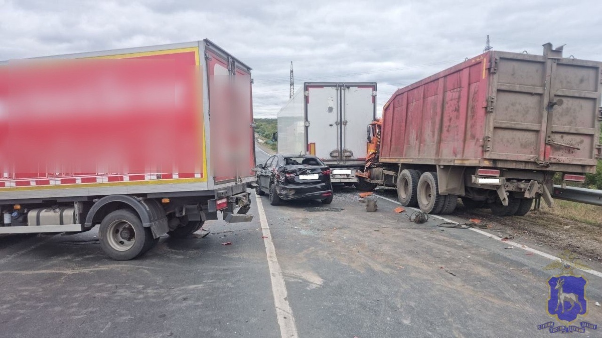    Фото ГУ МВД по Самарской области