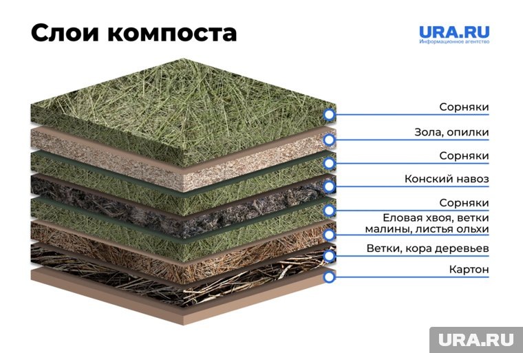     Слои в компосте лучше укладывать в определенной последовательности URA.RU