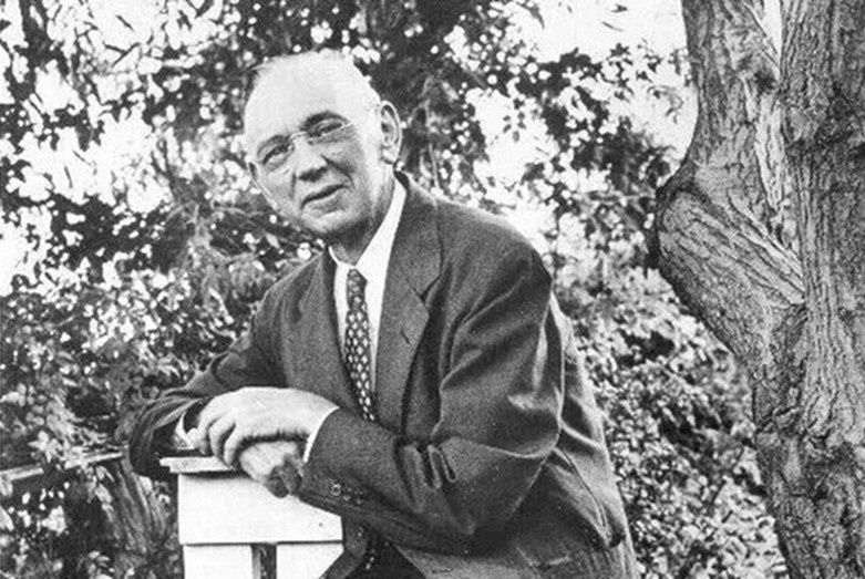 Фото взято из открытых источников, для иллюстрации