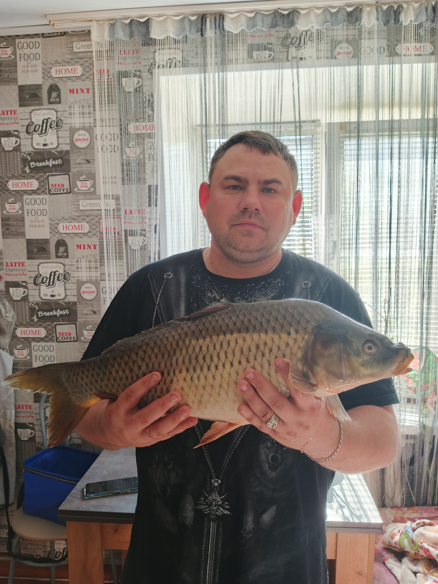 Карп – это желанный трофей каждого рыболова