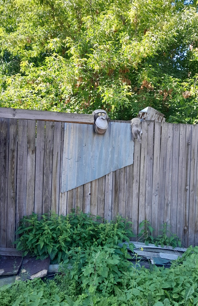 Арт-объект в частном секторе