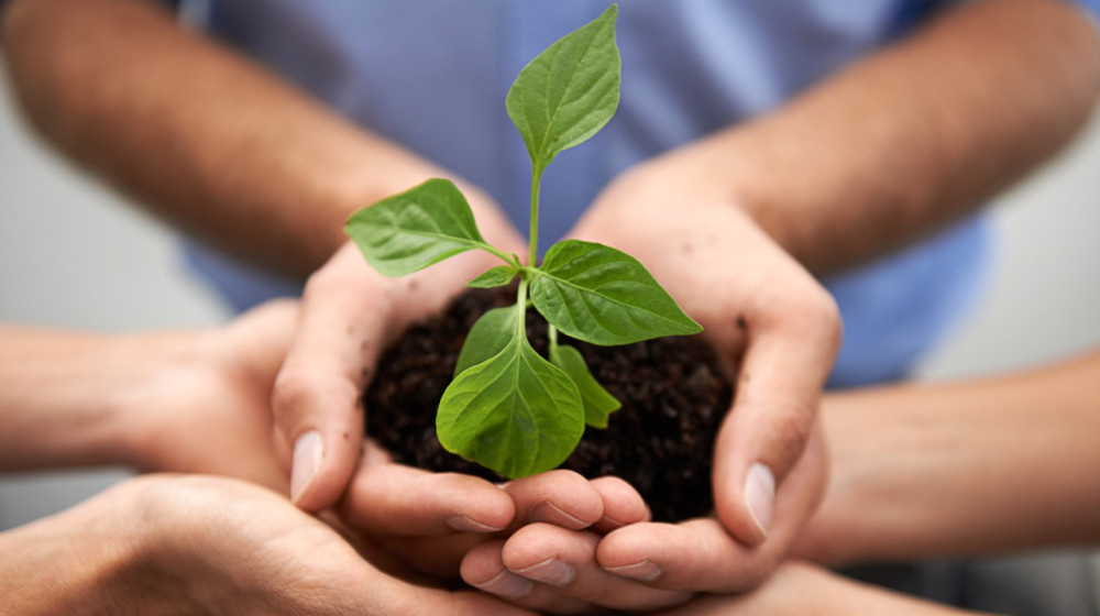    Берегите природу вместе с внуками