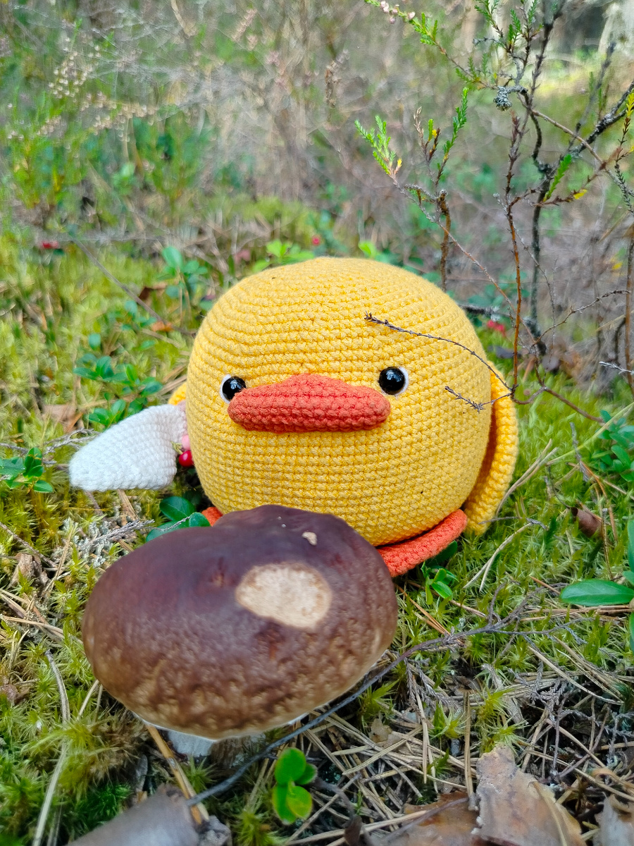 Утенок-грибник