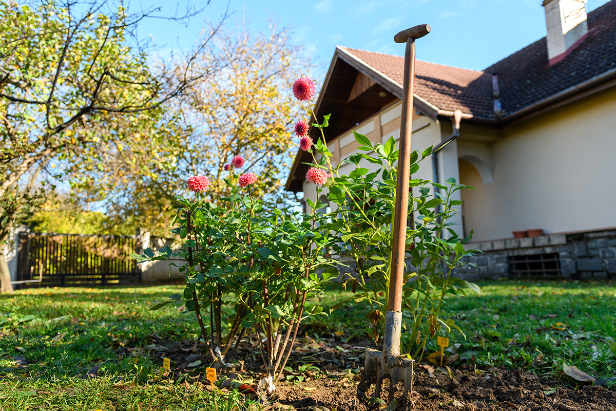    ABO PHOTOGRAPHY/ Shutterstock / FOTODOM