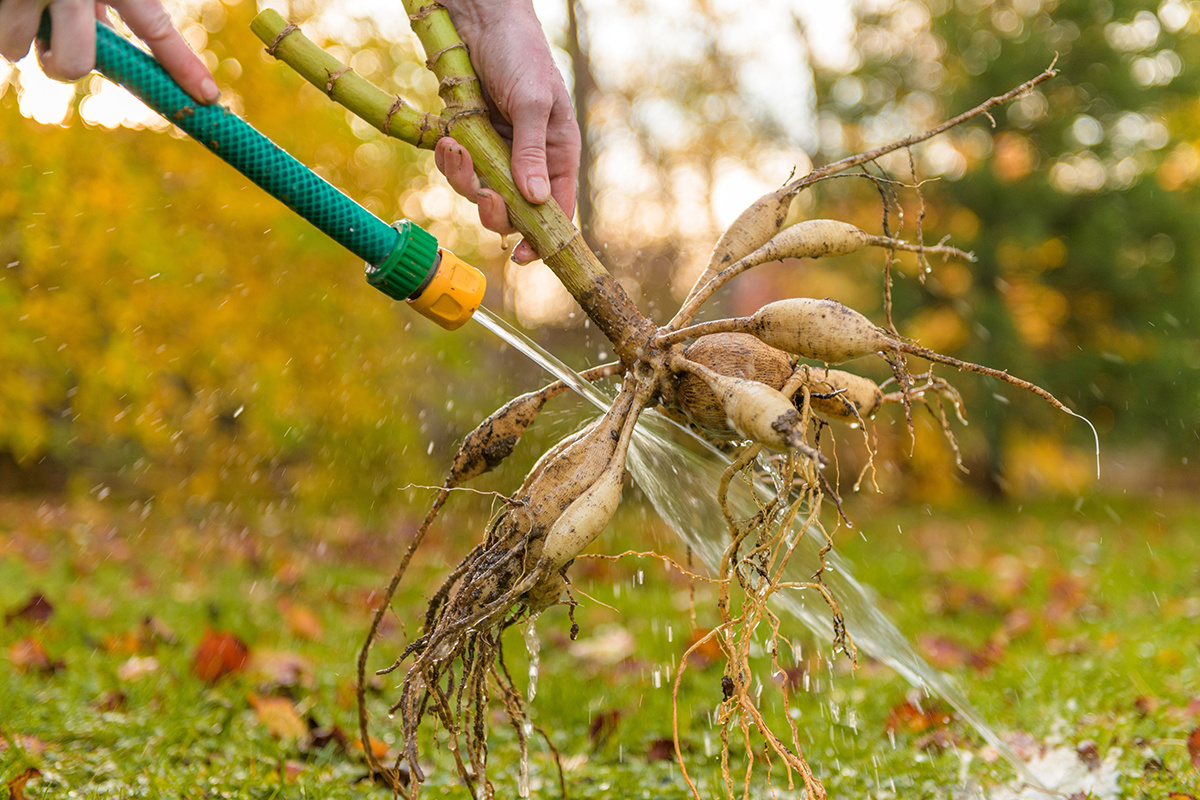    ABO PHOTOGRAPHY/ Shutterstock / FOTODOM