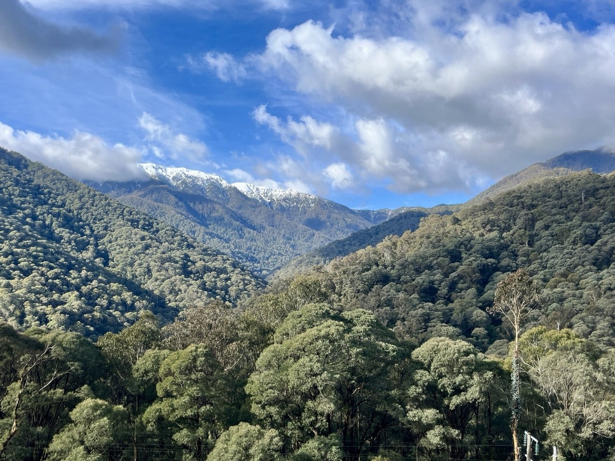 Вид на гору Бьюти в австралийских Альпах.