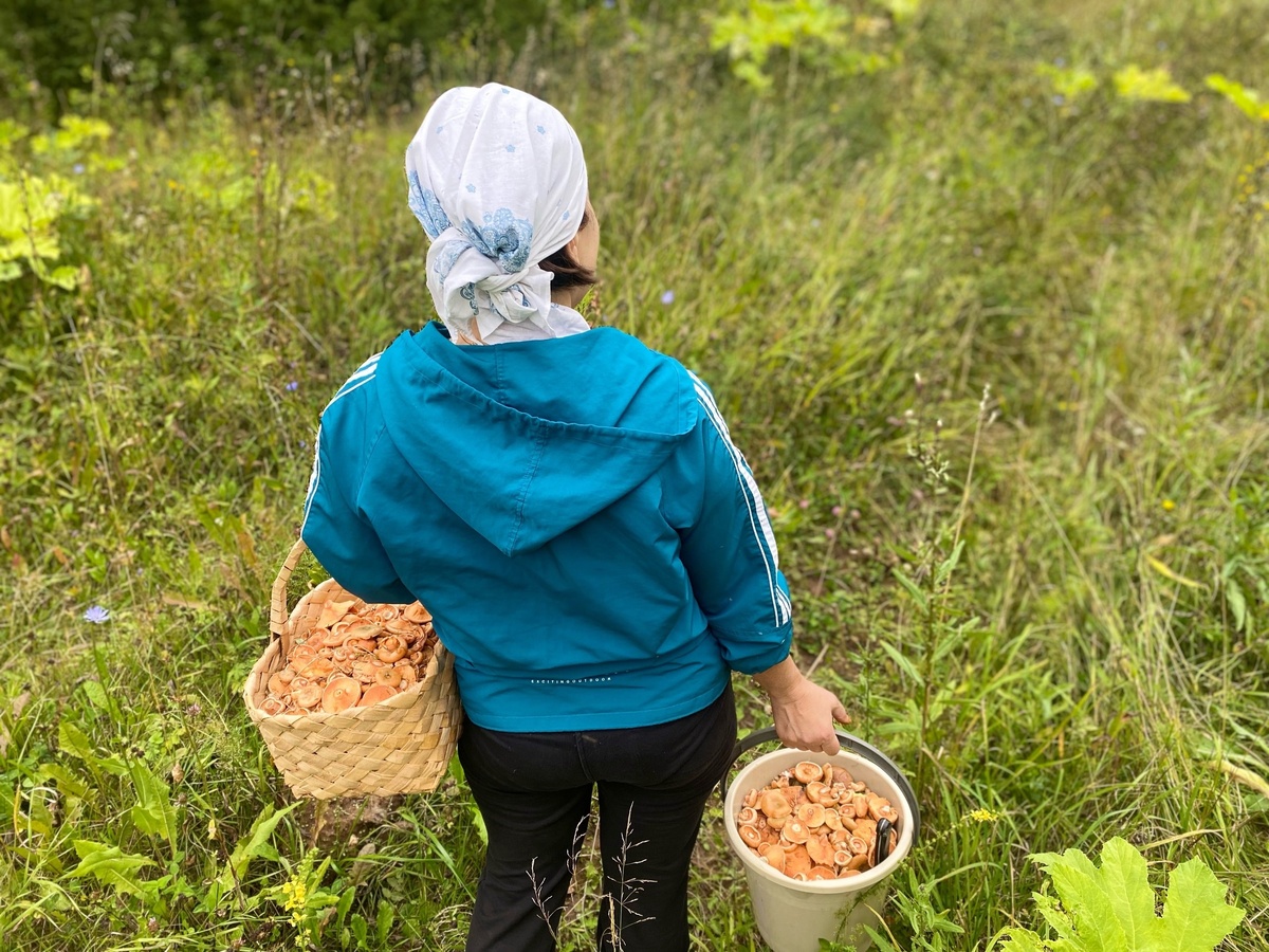    Раньше до полуночи мучилась, снимая пленку с маслят - теперь обрабатываю ведро грибов за полчаса