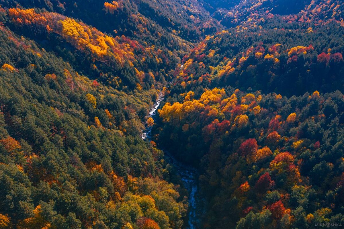 © Фото: Михаил Гассиев @Mikhoshka