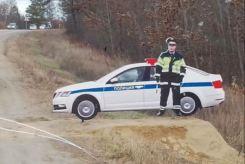 фото из открытых источников