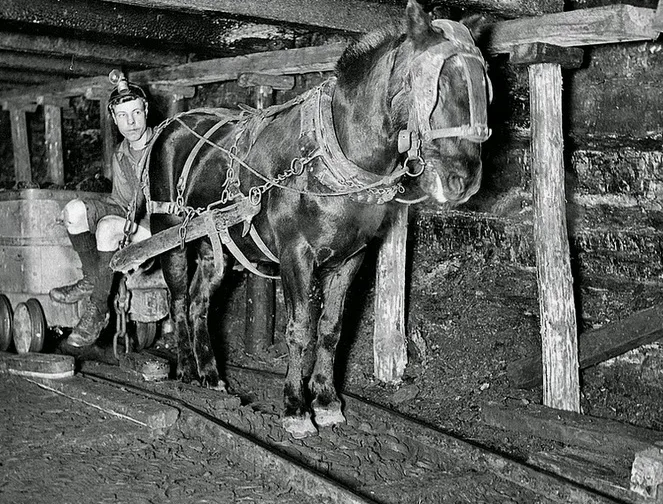 Фото с инета