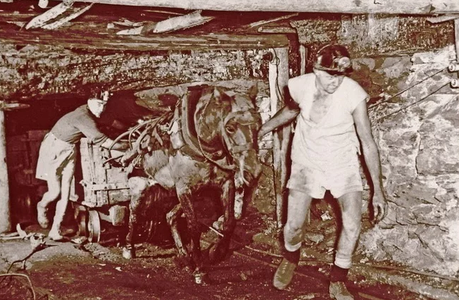 Фото с инета