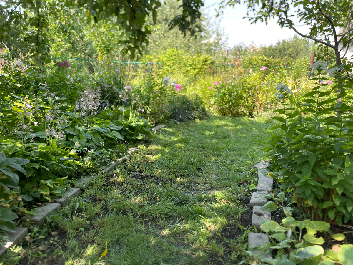 Воон там, слева, зелёная полоса. Это шланг, который выручал меня все лето