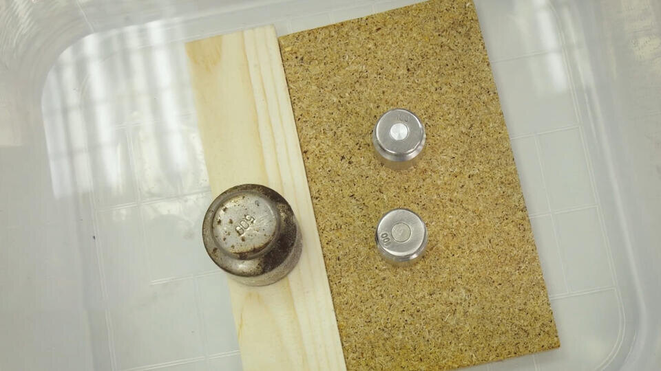 Фото: © Кадр из программы "Знаете ли вы, что?", РЕН ТВ