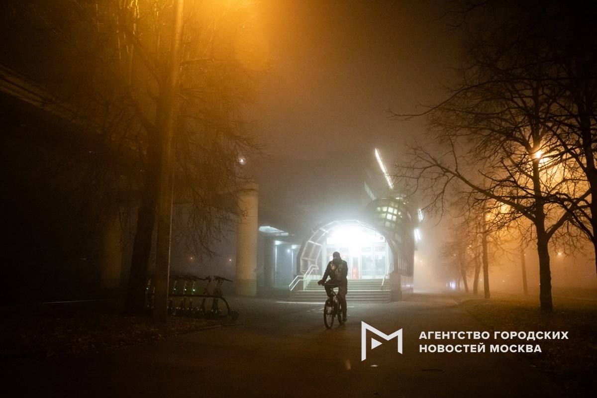 Фотограф: Софья Сандурская