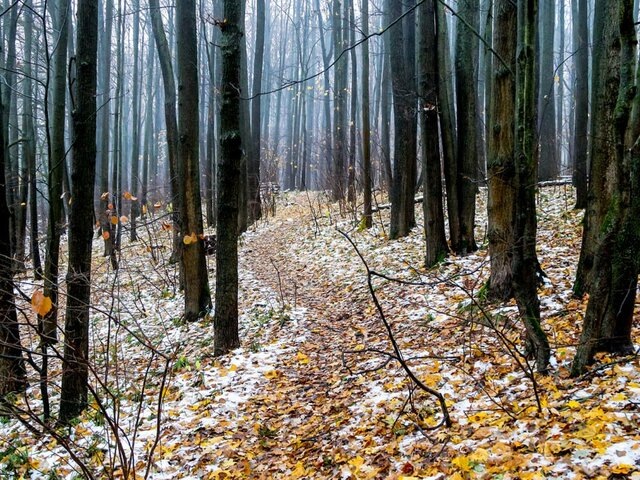    Фото: Москва 24/Лидия Широнина