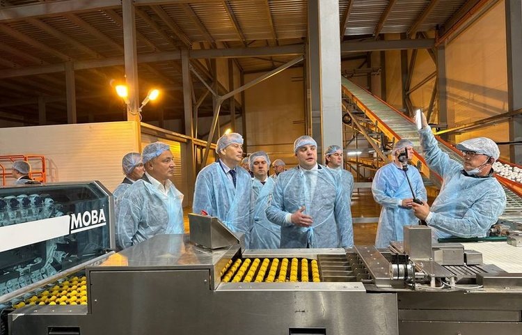    Фото: Комитет по агропромышленному и рыбохозяйственному комплексу Ленинградской области