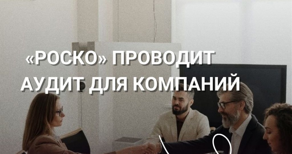 🤝 Как «РосКо» проводит аудит для компаний #кейсы