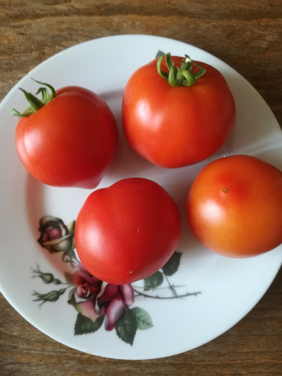 "Мазарини" поспевает одним из самых первых