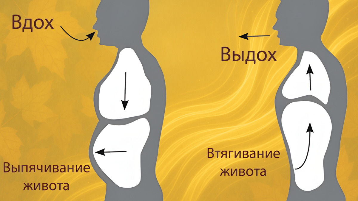 Диафрагмальное (брюшное) дыхание