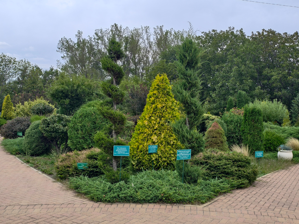 У многих растений есть таблички с названиями