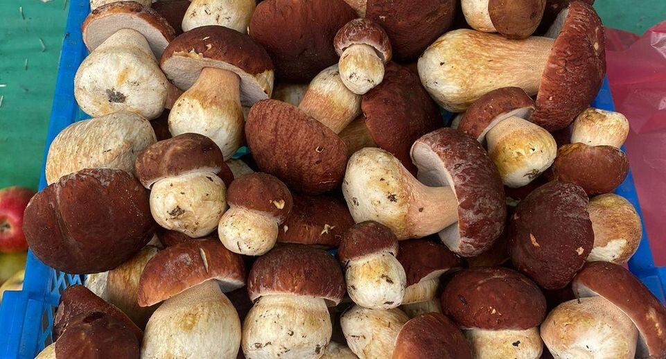    Минсельхоз МО