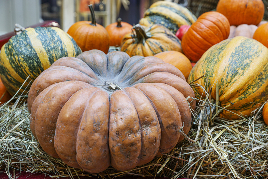    Сергей Булкин/NEWS.ru