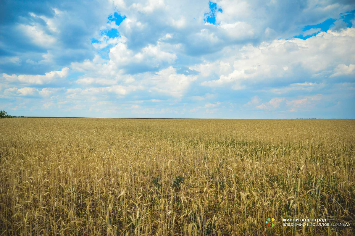 Природа родного края