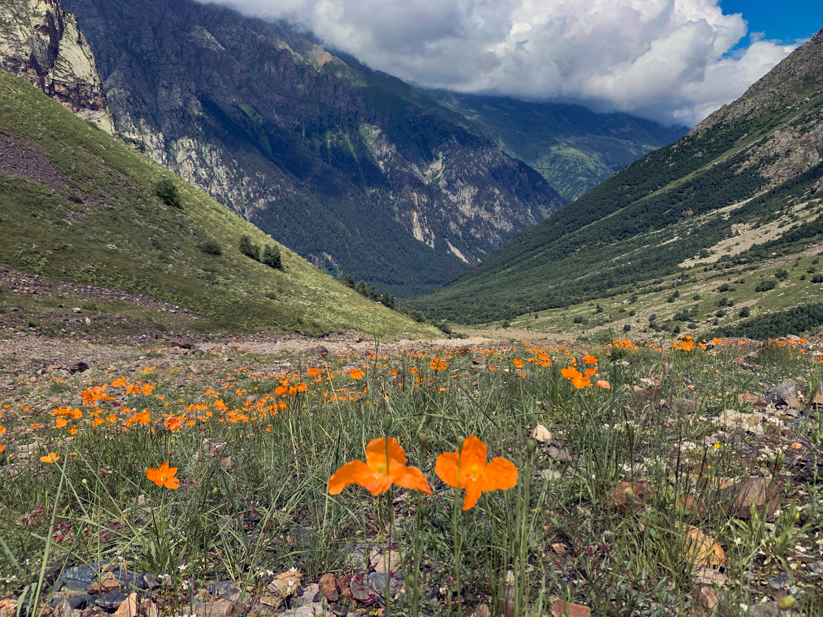 Цейское ущелье. Фото автора