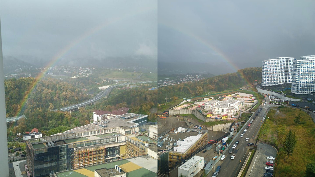 коллаж: Telegram/ТИПИЧНЫЙ СОЧИ  📷
