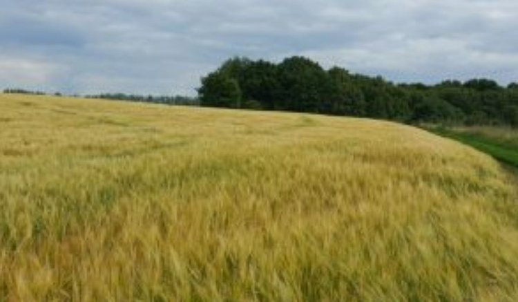    Фото: Управление Россельхознадзора по Орловской и Курской областям