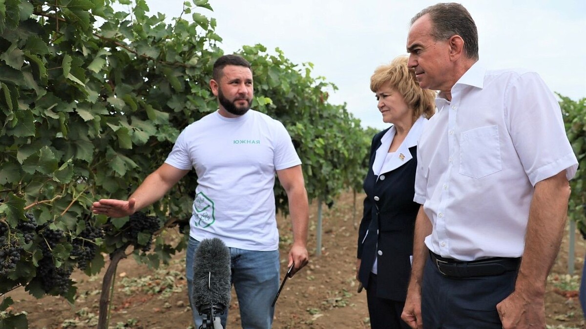    фото: пресс-служба администрации Краснодарского края