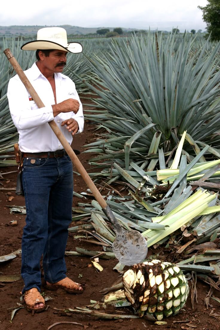 Химадор с инструментом