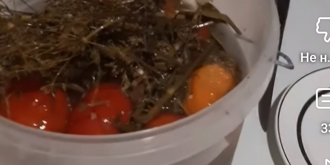 Очень вкусные квашеные помидоры( рецепт с сахаром)