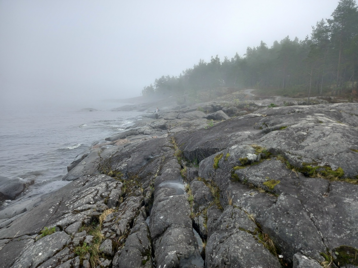 фото из интернета