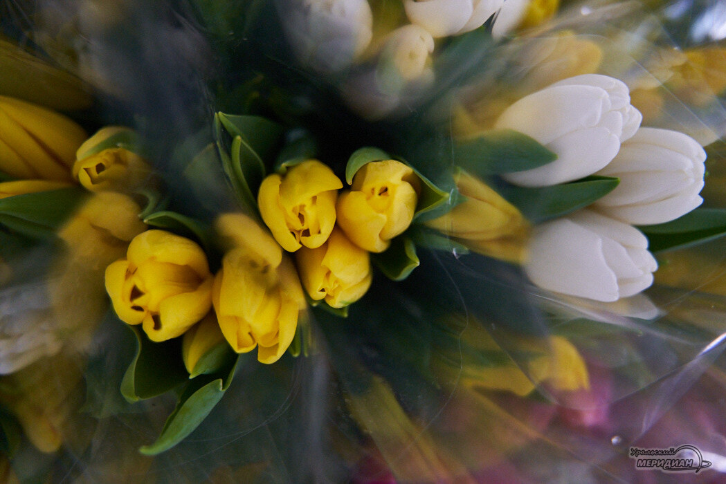    Фото: Лидия Аникина © ИА «Уральский меридиан»