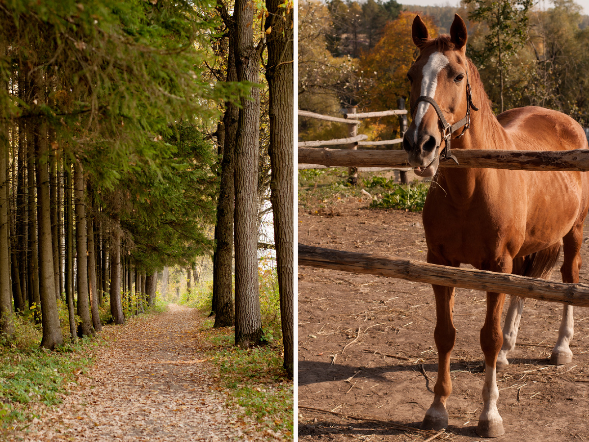 Личное фото