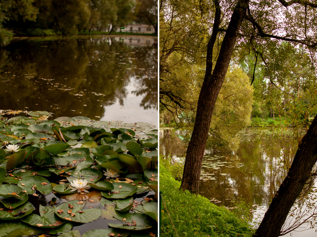 Личное фото