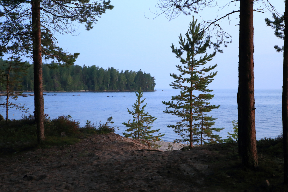 Img_0122  05.08.2025 22:00:32