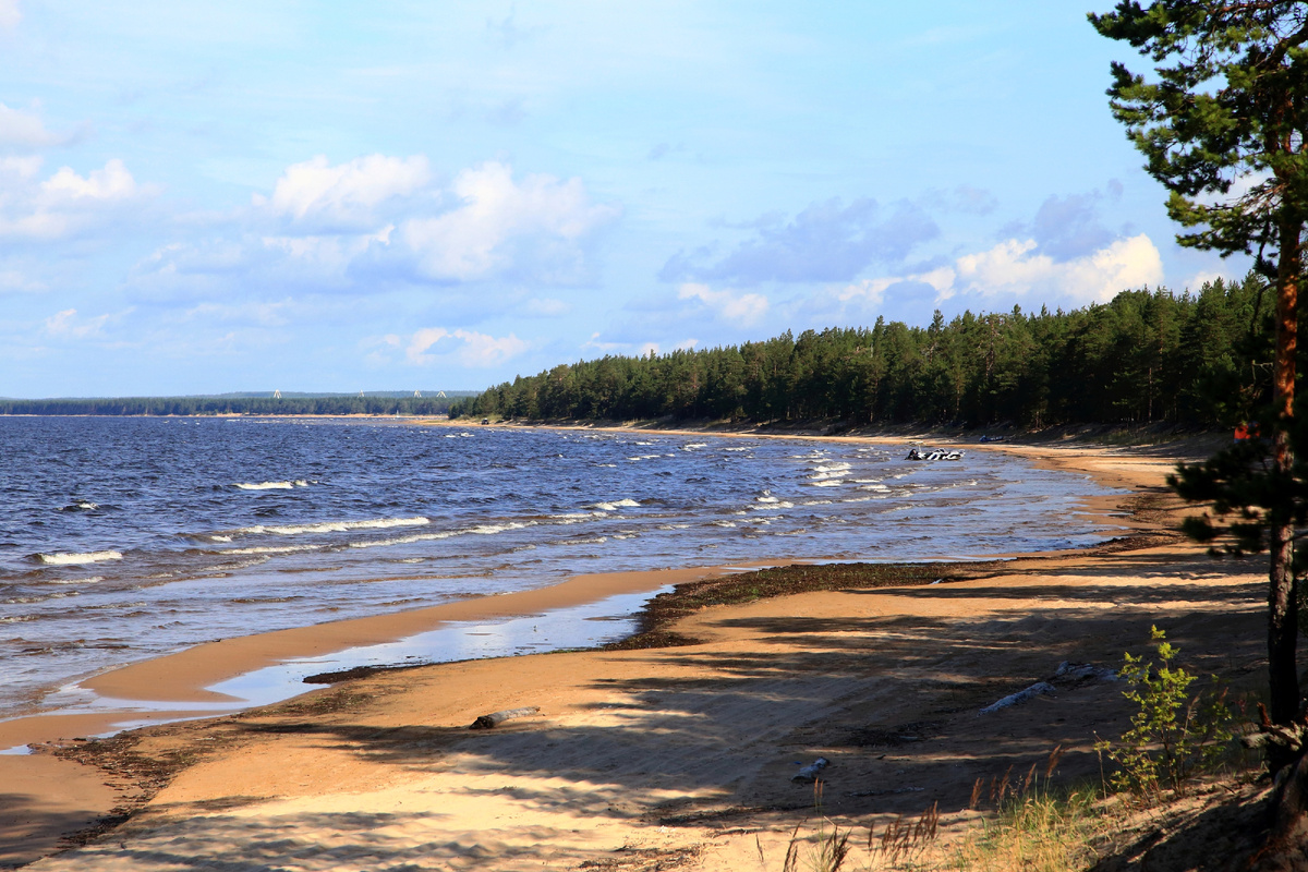 Img_0127  06.08.2025 09:29:05