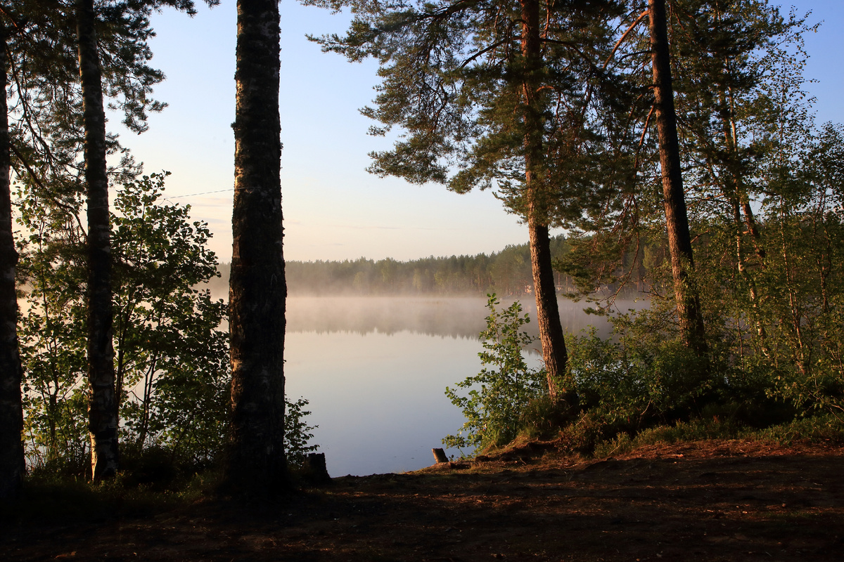 Img_0199  09.08.2025 06:15:47