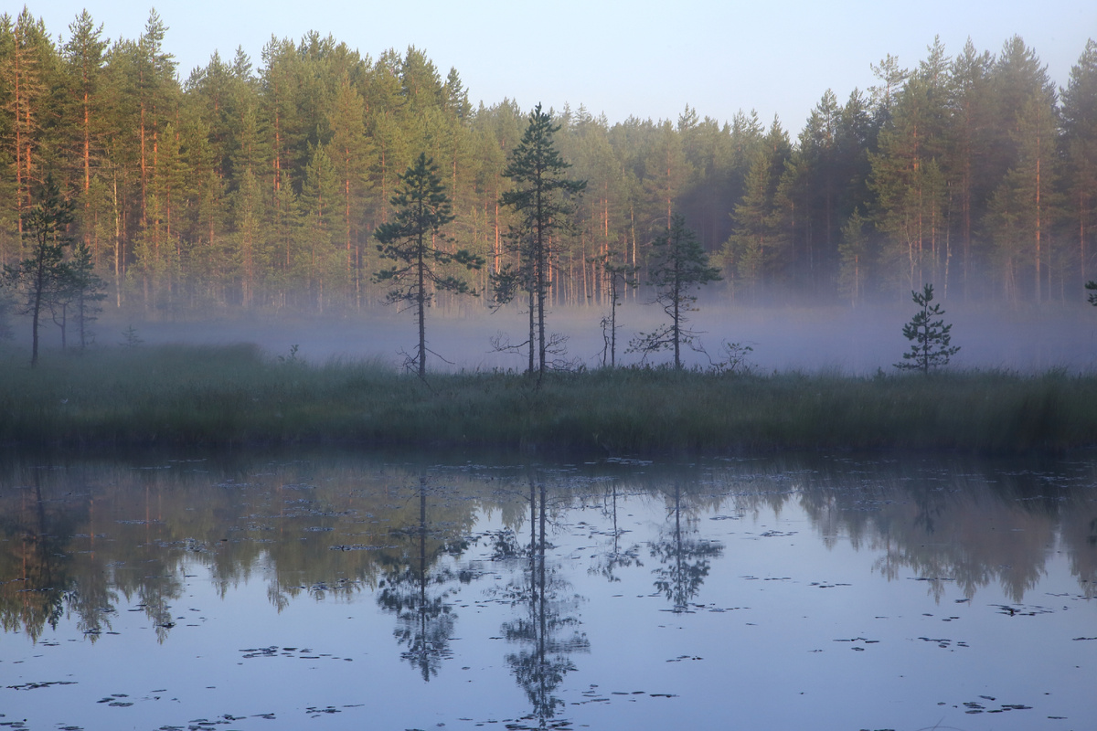 Img_0204  09.08.2025 06:24:46